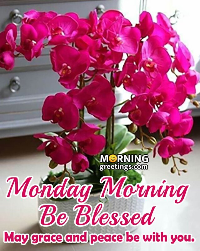 Monday Morning Blessing