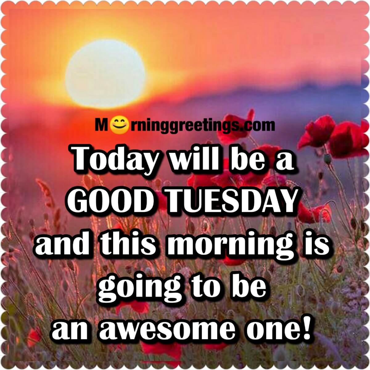 30 Amazing Tuesday Morning Blessings Morning Greetings Morning Quotes And Wishes Images