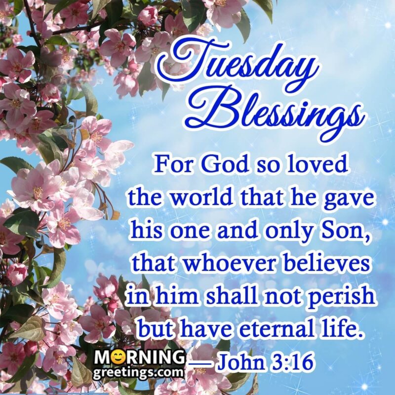 Tuesday Blessings For The God
