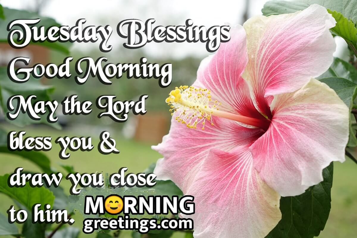 Tuesday Blessings Good Morning