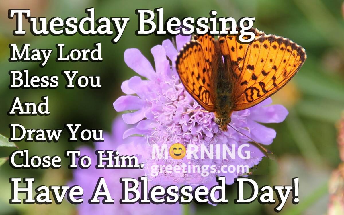 Tuesday Blessings Have A Blessed Day