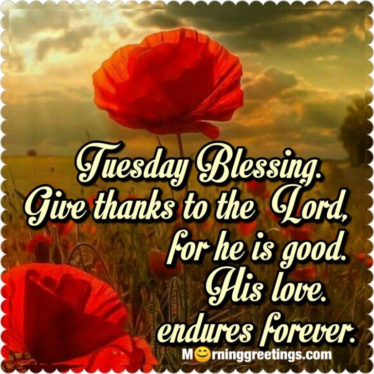 30 Amazing Tuesday Morning Blessings Morning Greetings Morning