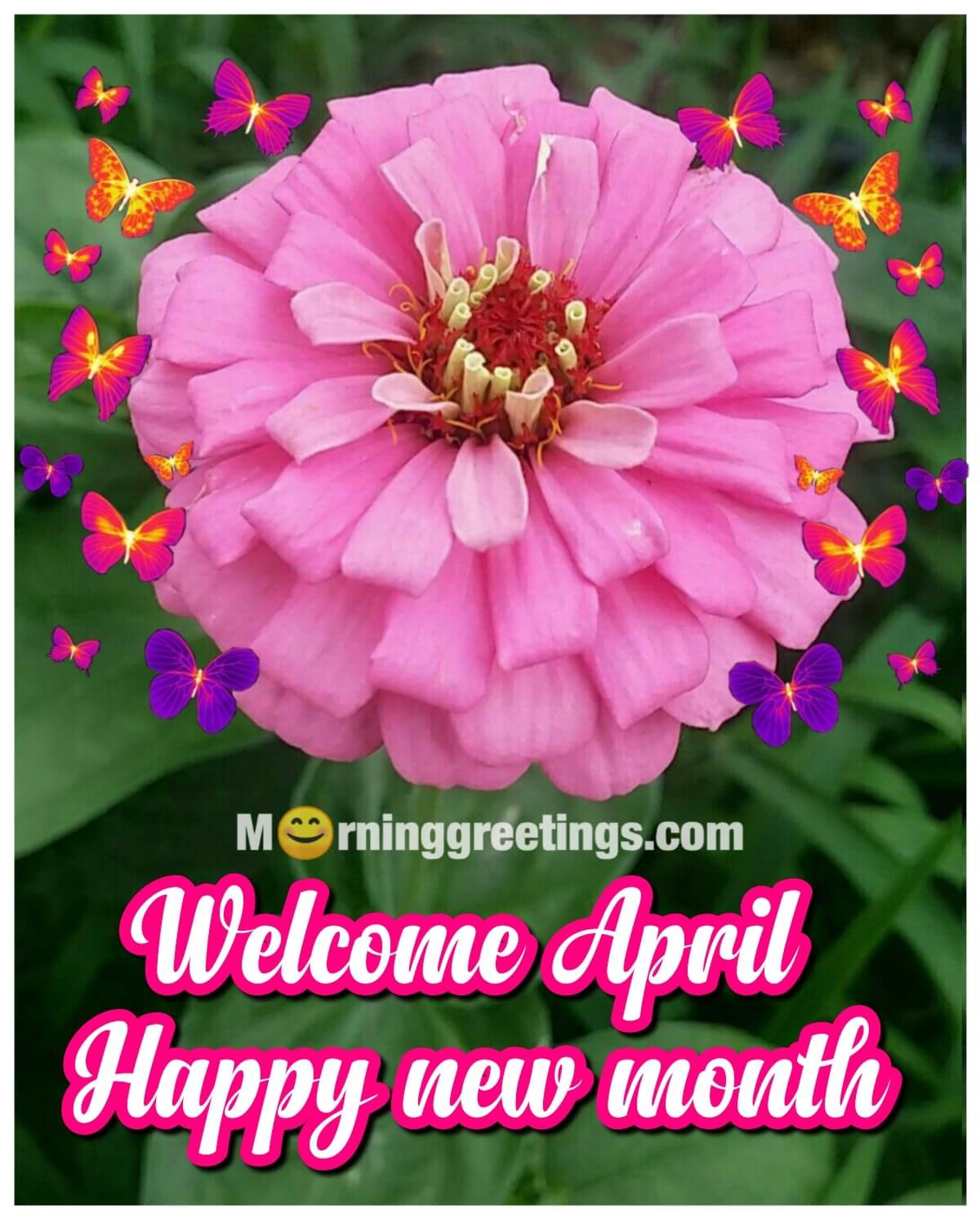 Welcome April Happy New Month