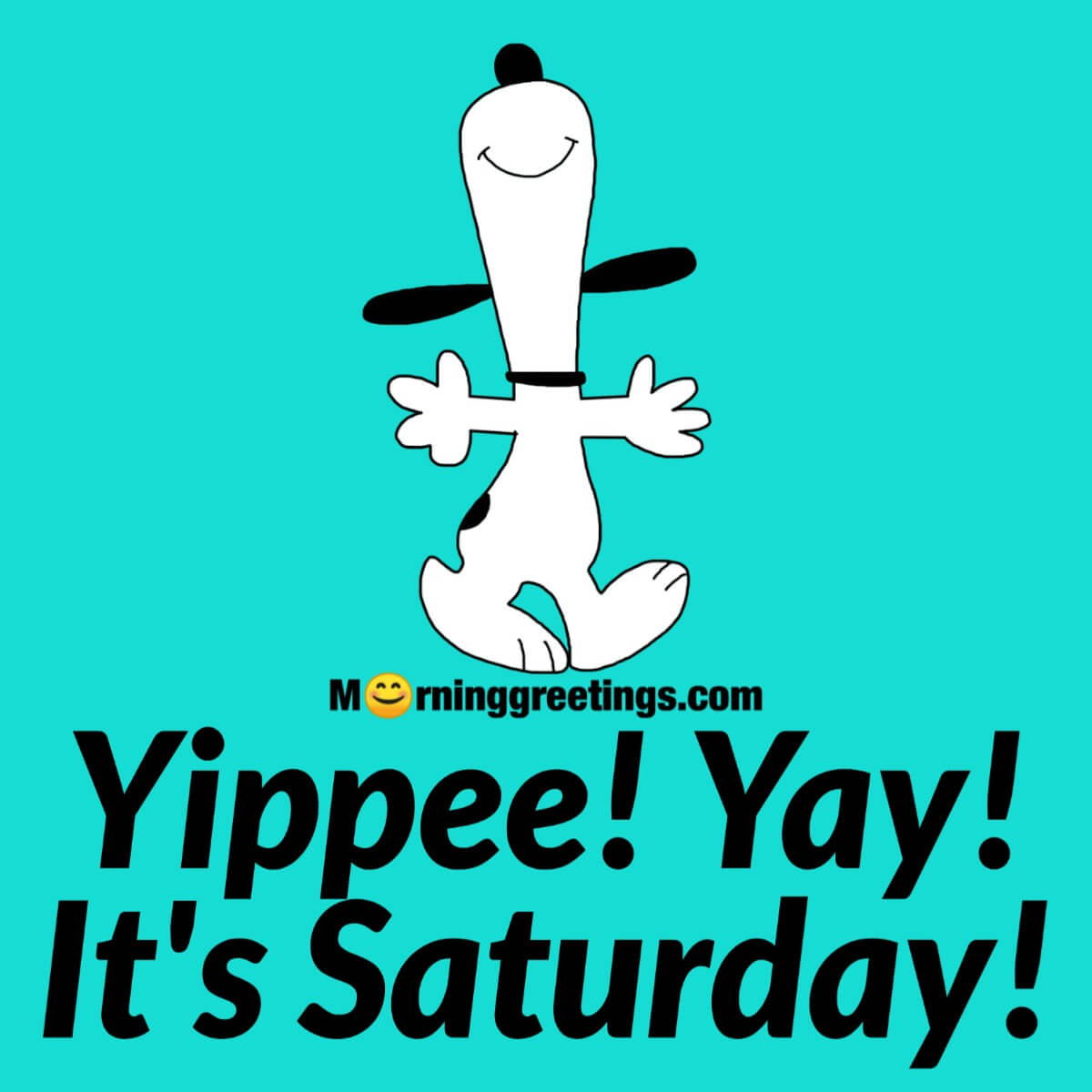 Yippee! Yay! It’s Saturday!