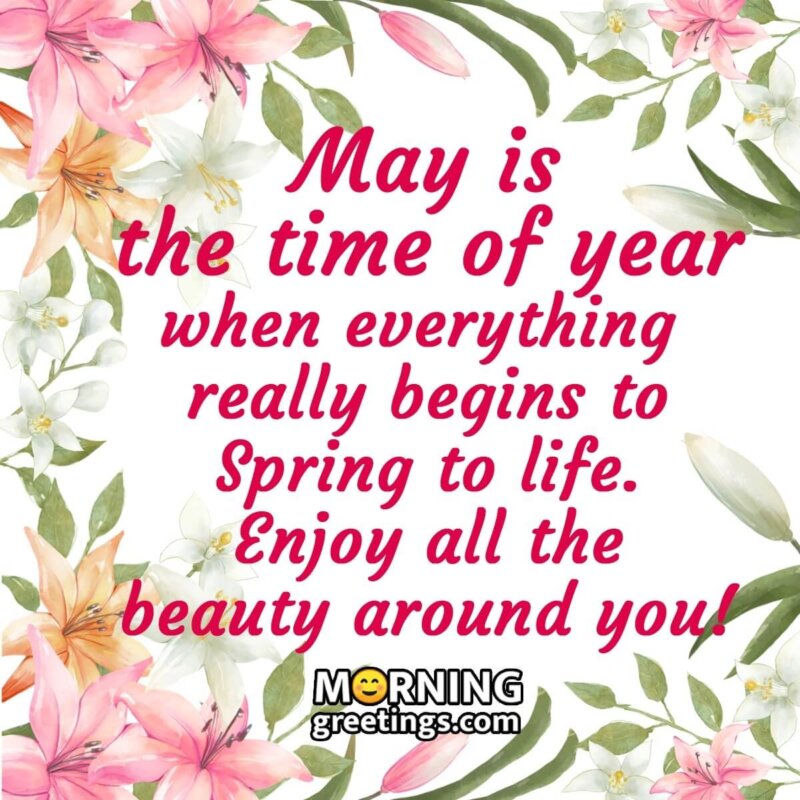 Enjoy The Beauty Of May