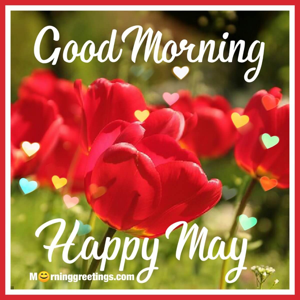 Good Morning Happy May