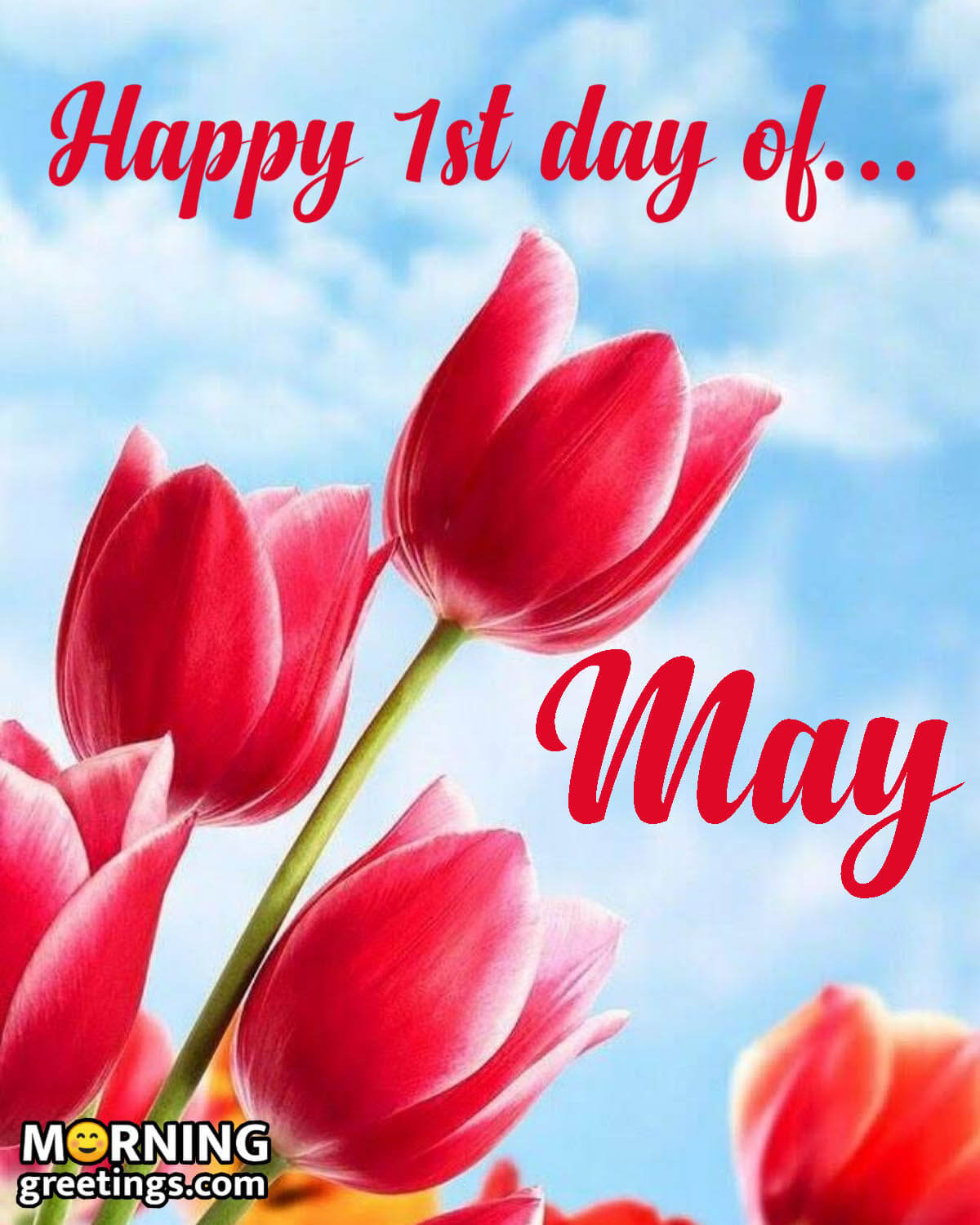 Happy 1st Day Of May Greeting