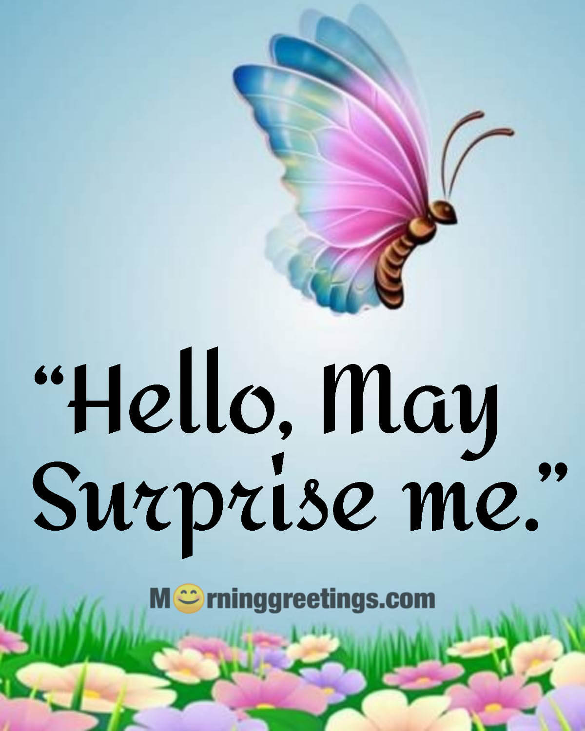 Hello, May! Surprise Me
