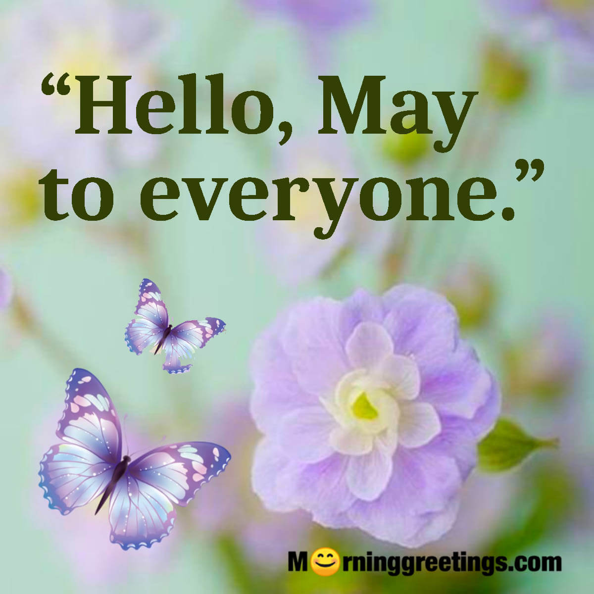 Hello, May To Everyone