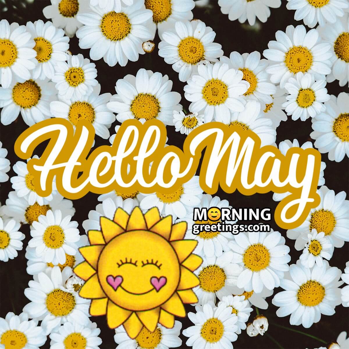 Hello May