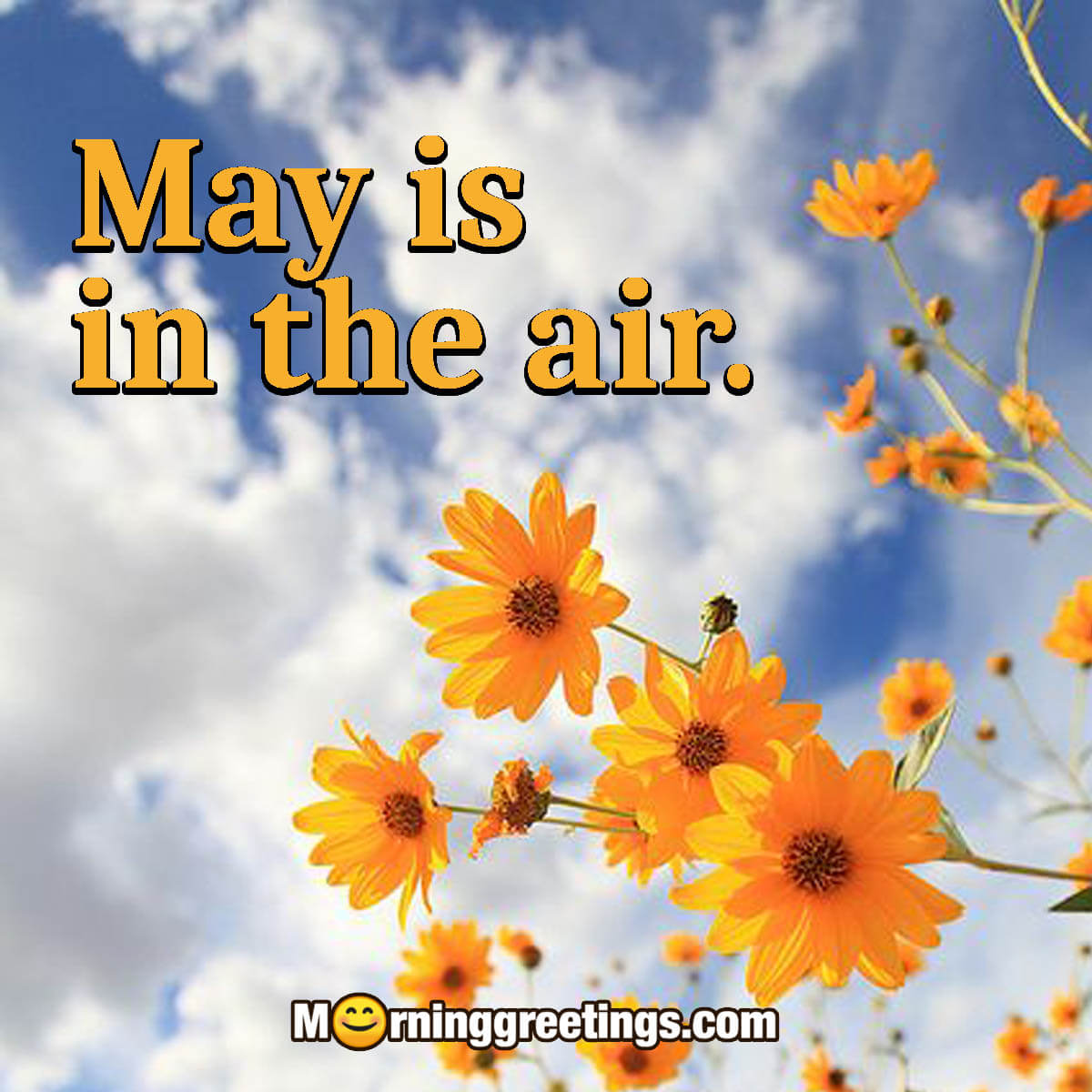 May Is In The Air