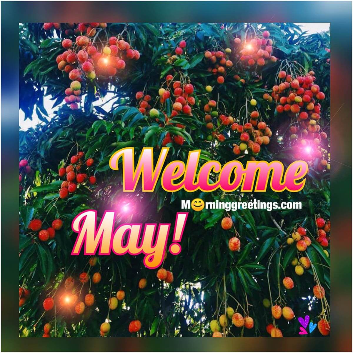 Welcome May