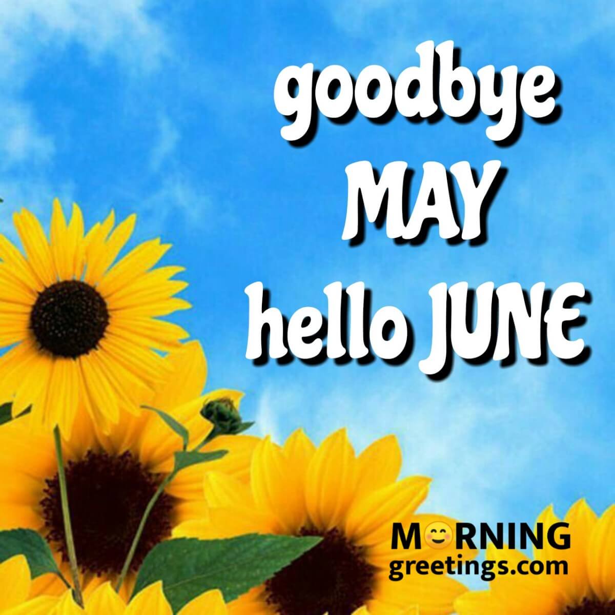 Good Bye May Hello June
