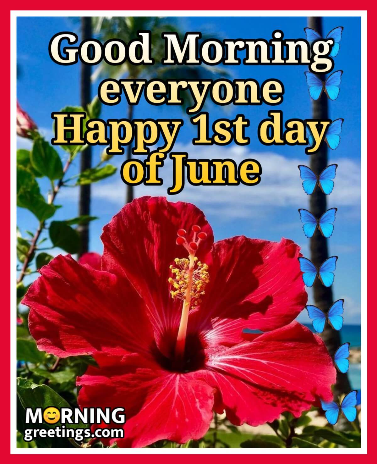 Good Morning Everyone Happy 1st Day Of June