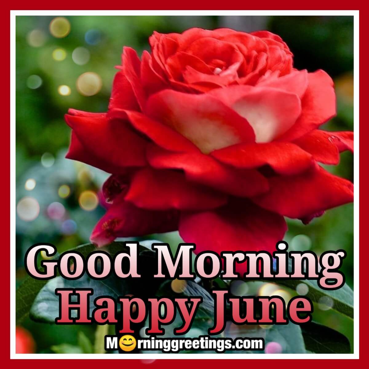 Good Morning Happy June