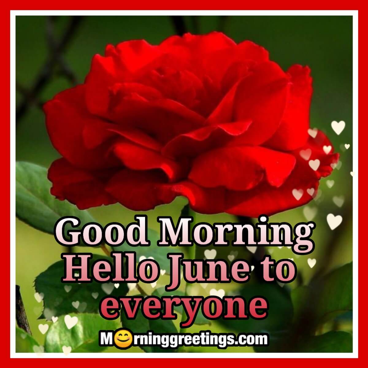 Good Morning Hello June To Everyone