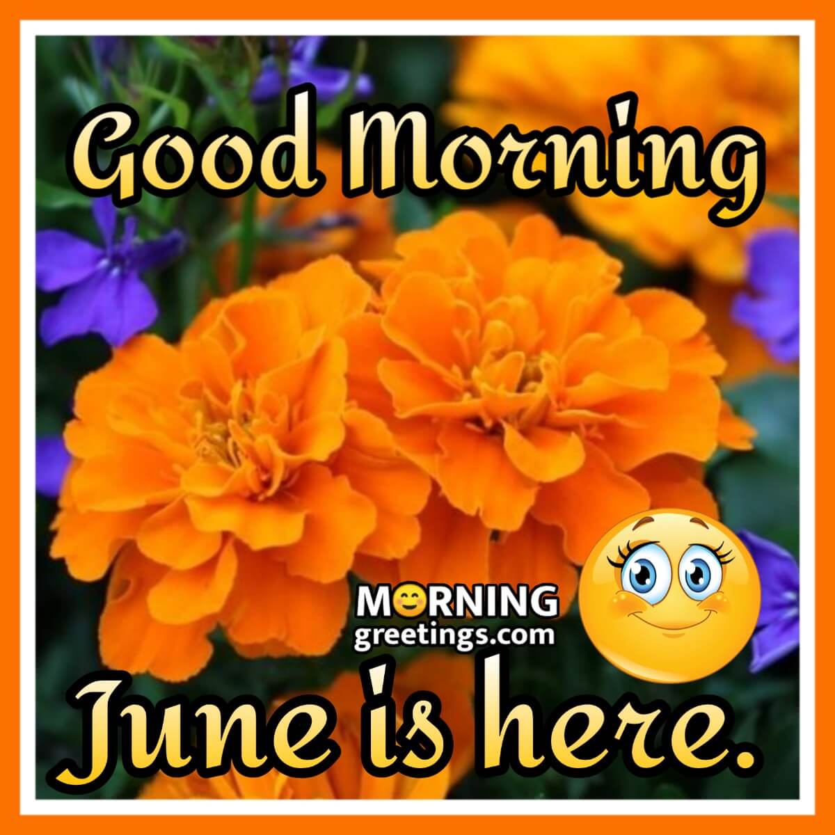 Good Morning June Is Here