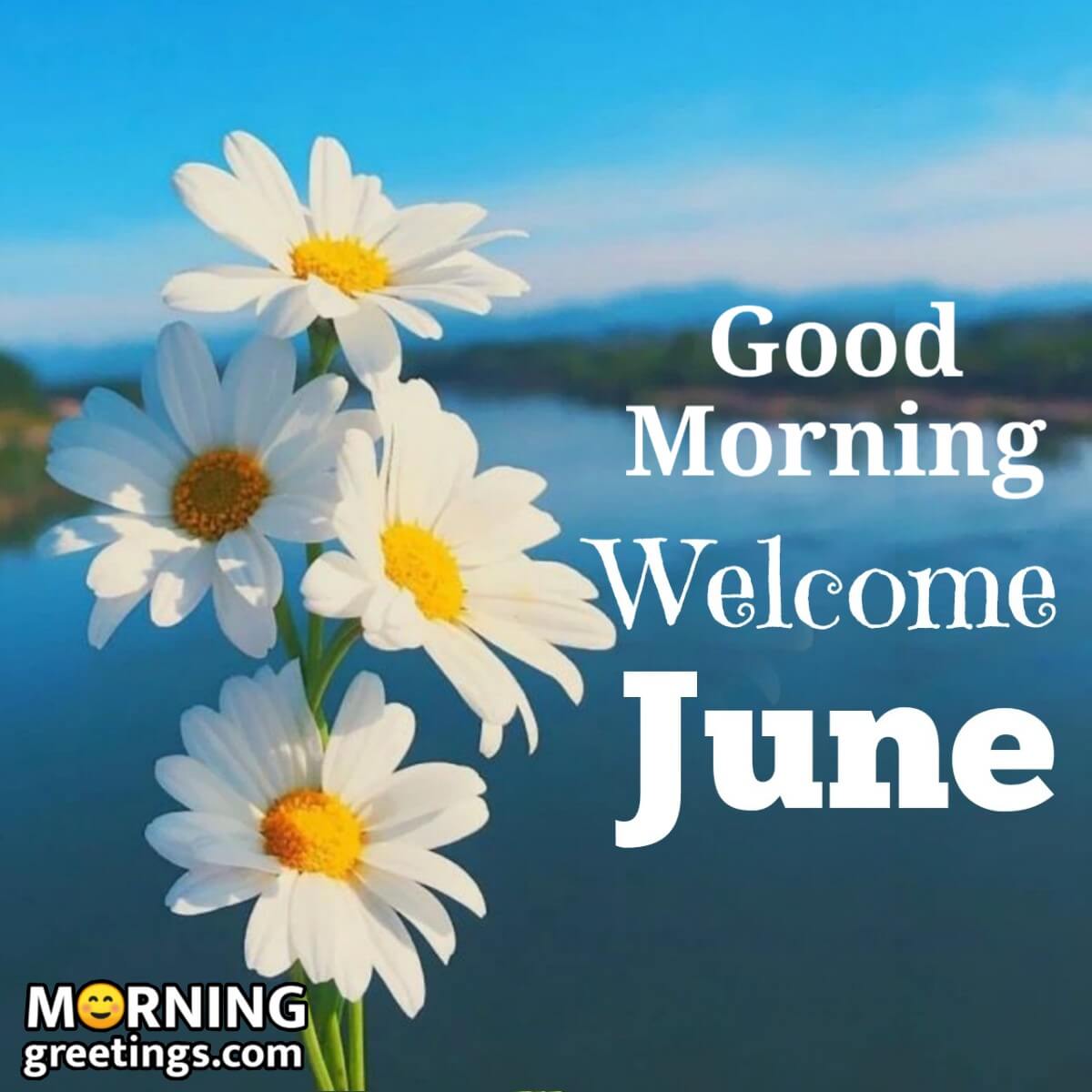 Good Morning Welcome June