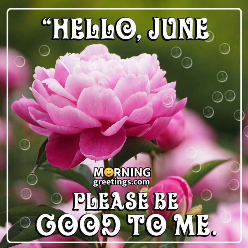 Hello June Please Be Good To Me