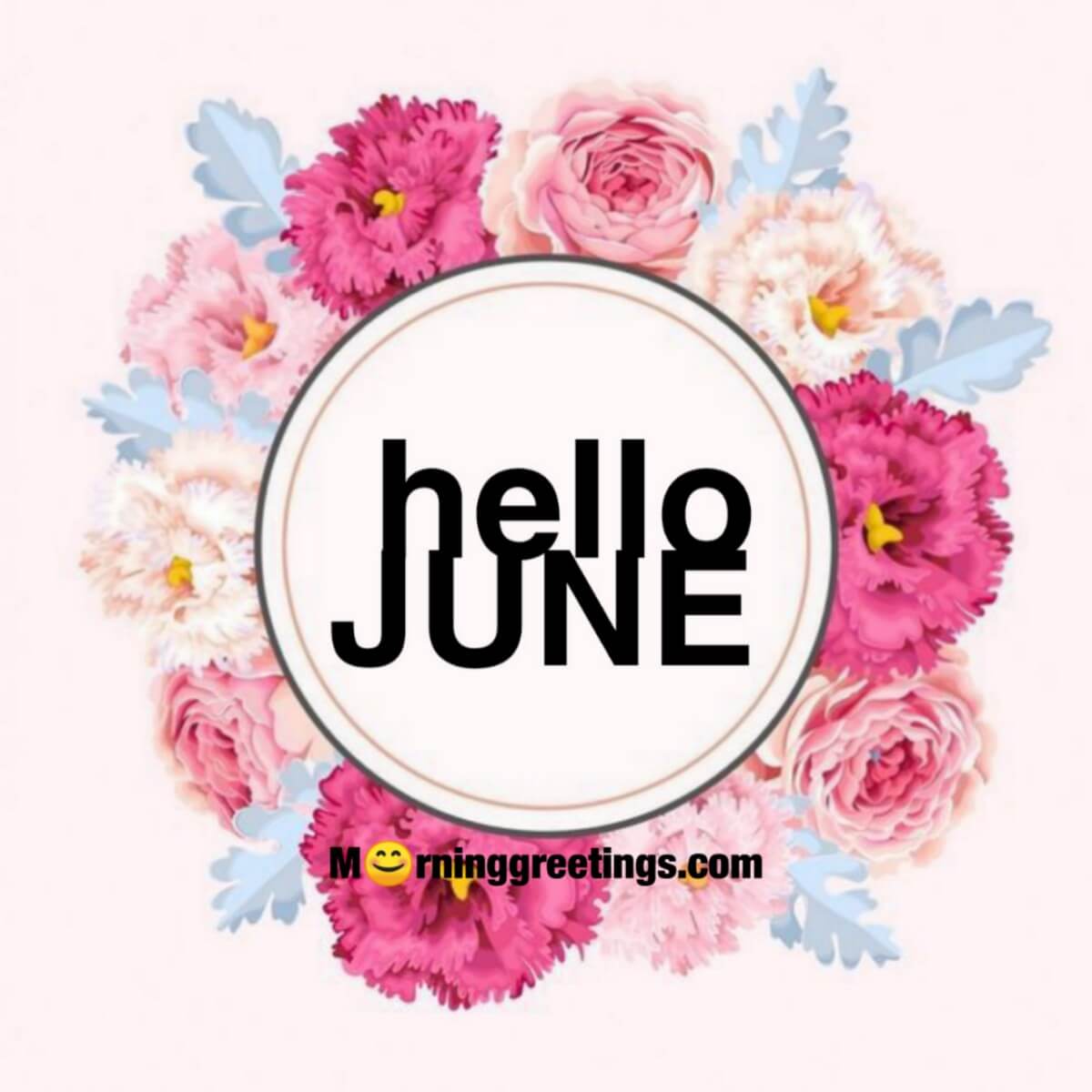 Hello June