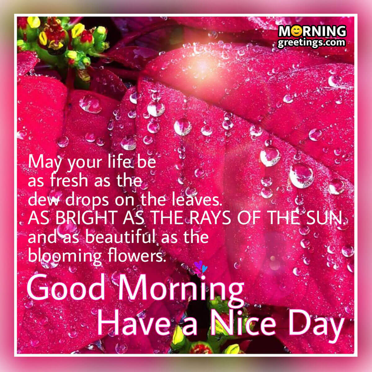 45 Good Morning Wishes Pictures - Morning Greetings – Morning ...