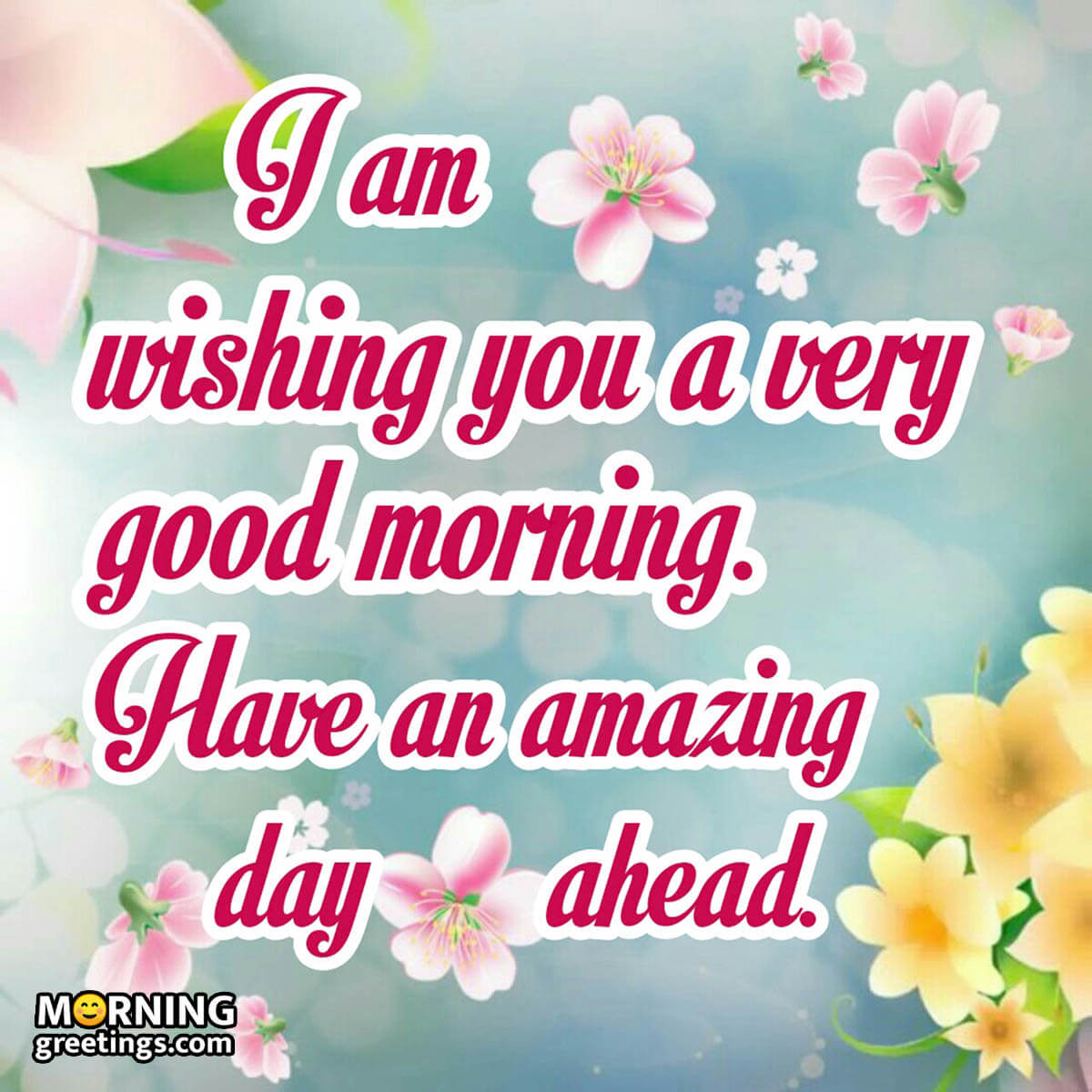 Good Morning Have An Amazing Day