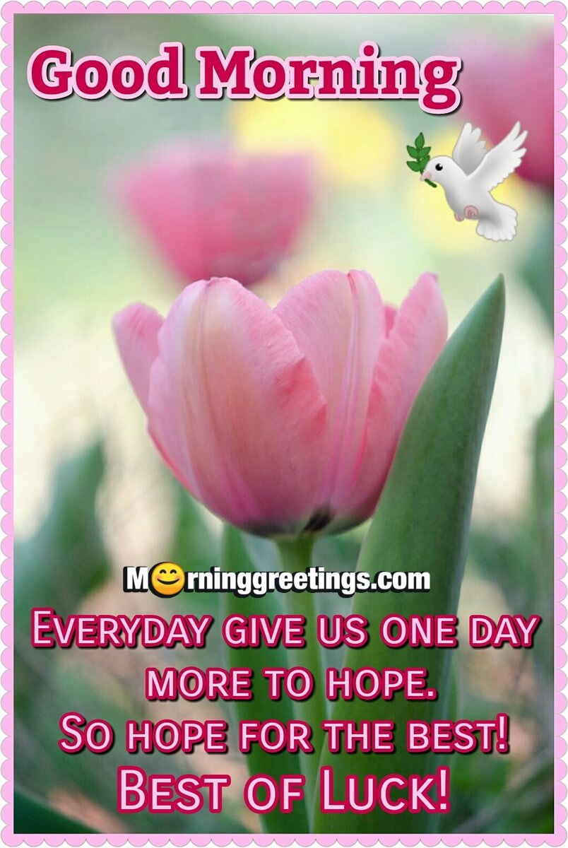 Good Morning Hope For The Best