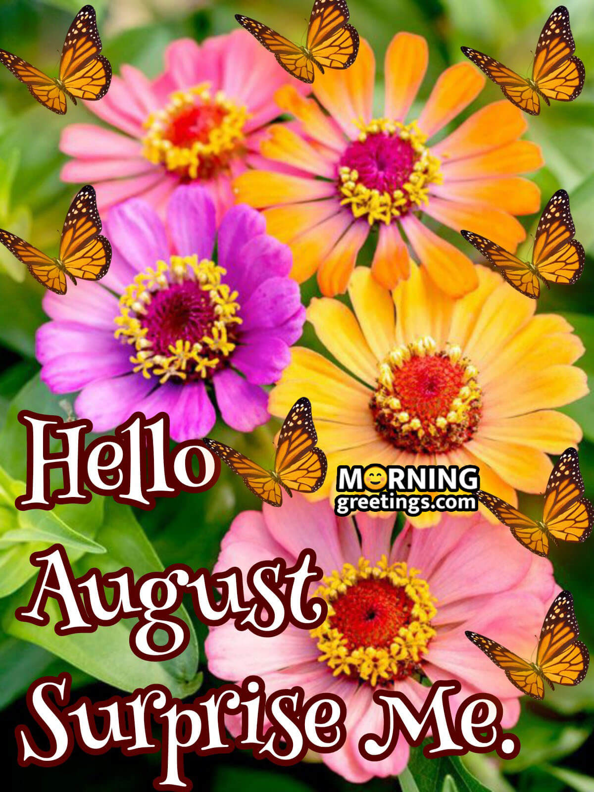 Hello August Surprise Me