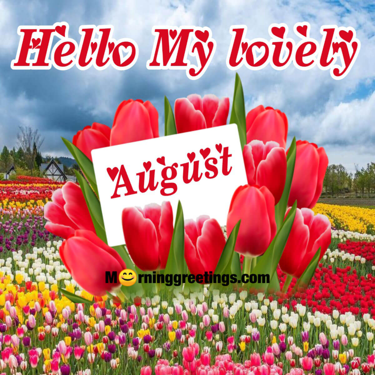 Hello My Lovely August