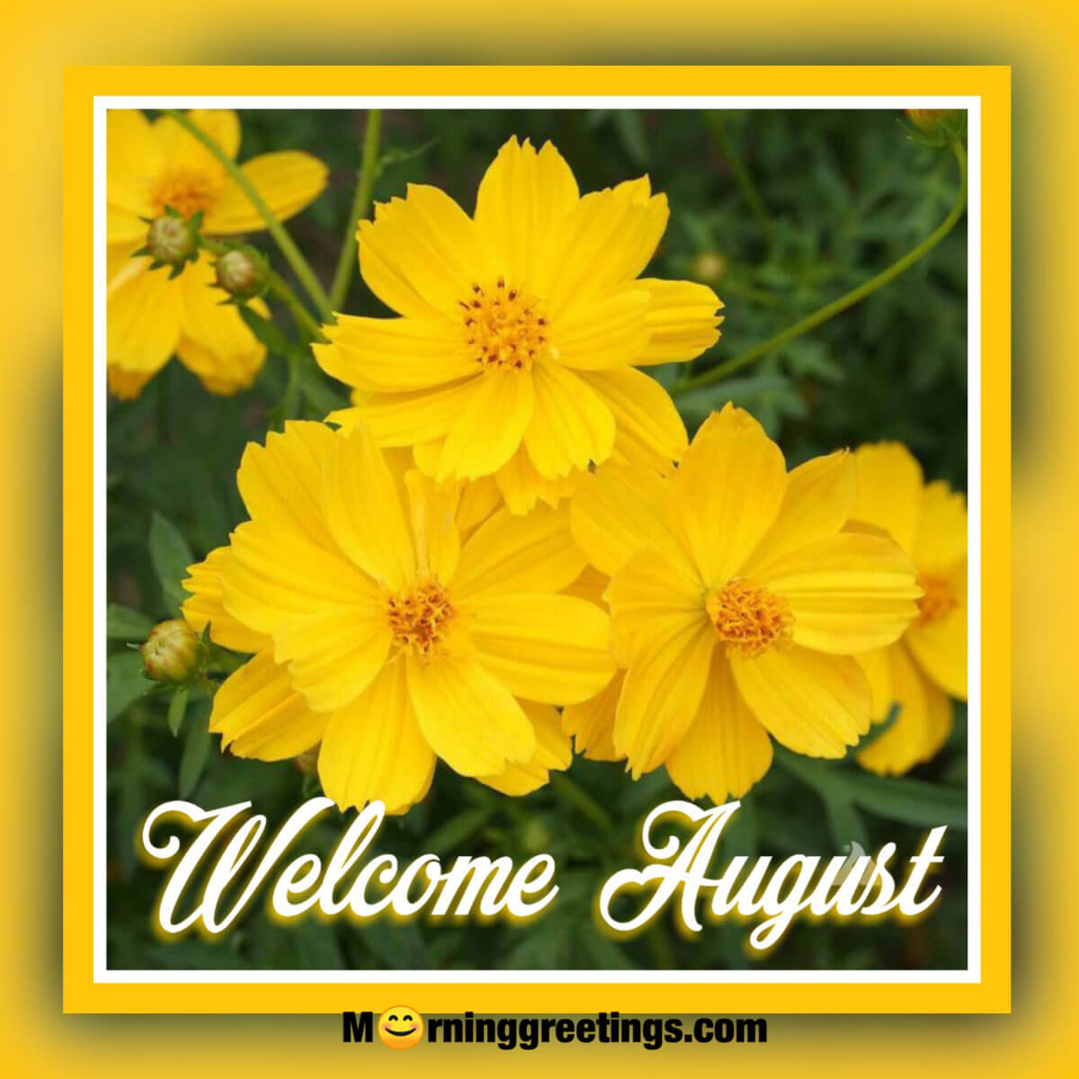 Welcome August