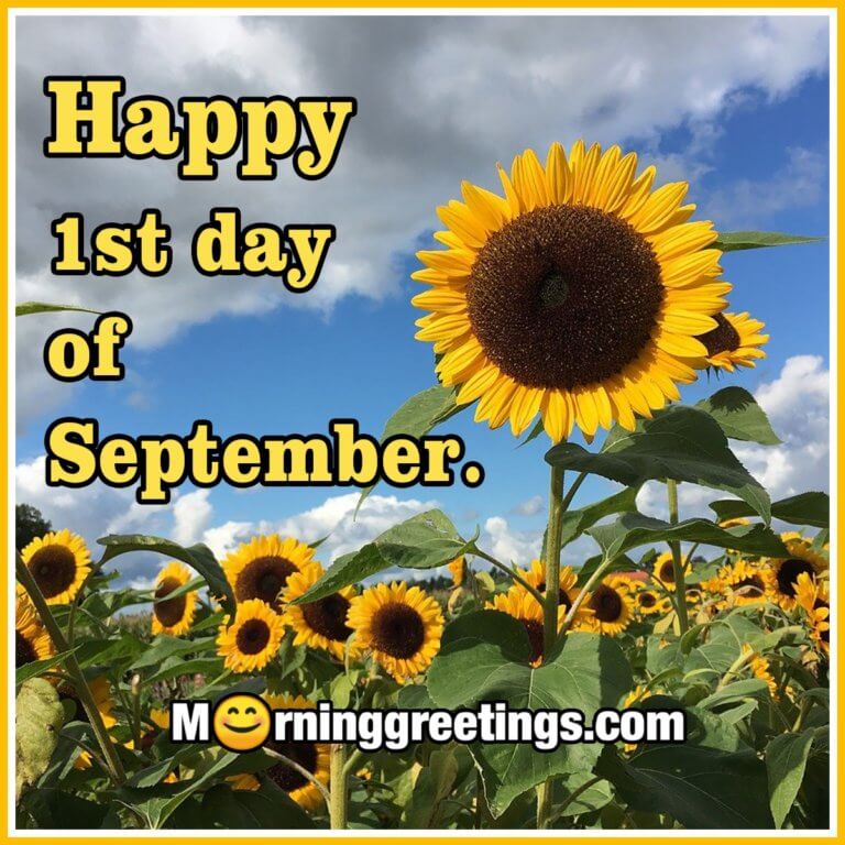 40 Best September Morning Quotes And Wishes - Morning Greetings ...