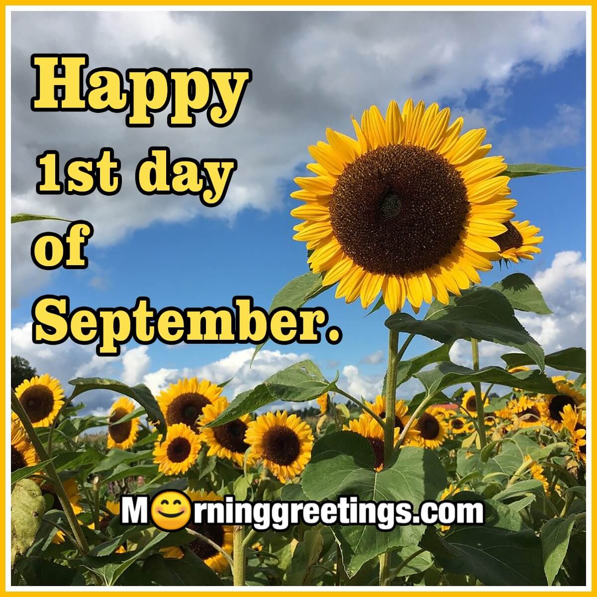 Happy 1st Day Of September