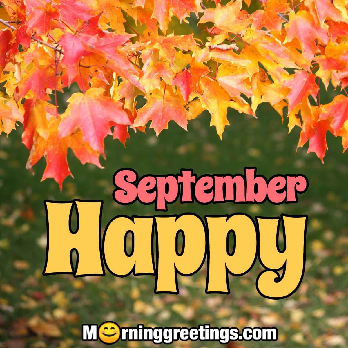 Happy September