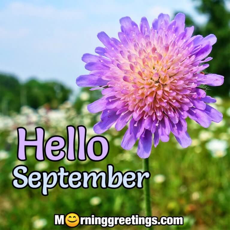 40 Best September Morning Quotes And Wishes - Morning Greetings ...