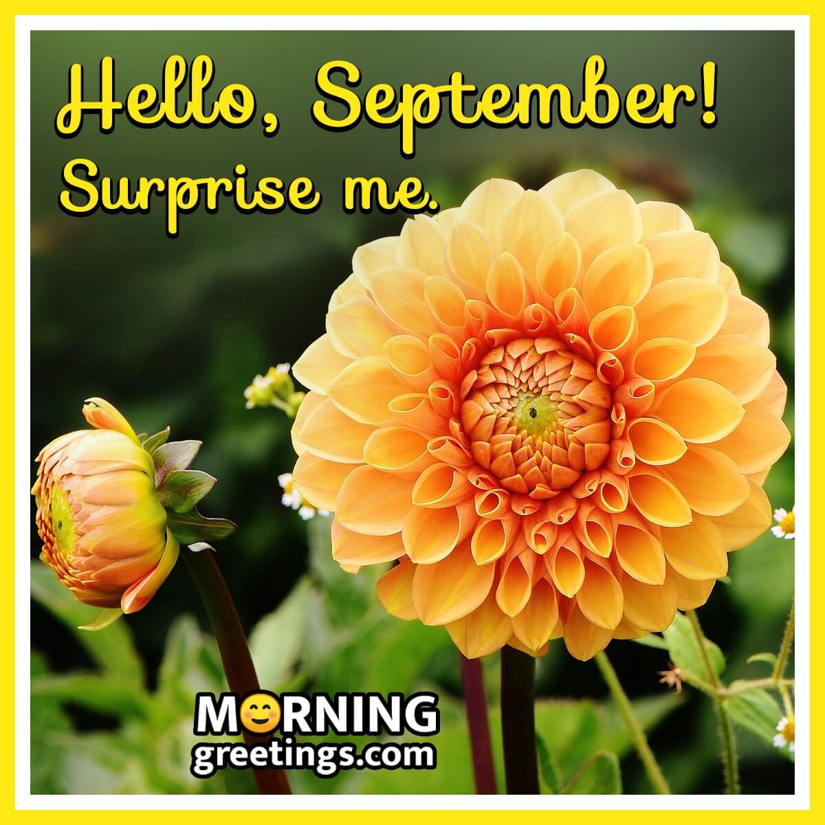 Hello, September! Surprise Me