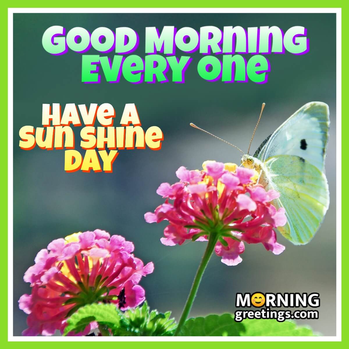 100 Good Morning Images - Morning Greetings – Morning Quotes And ...