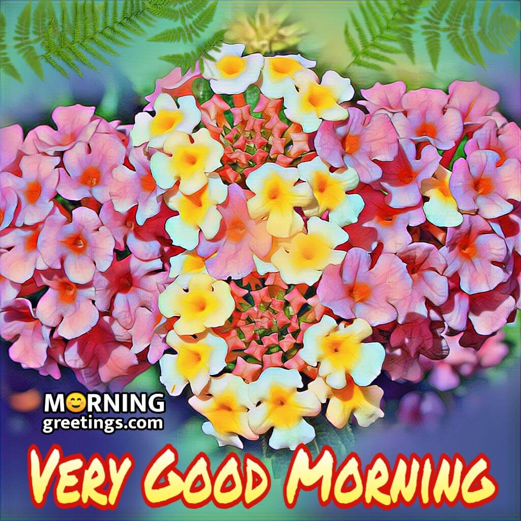 Good Morning Lantana Flower Graphic