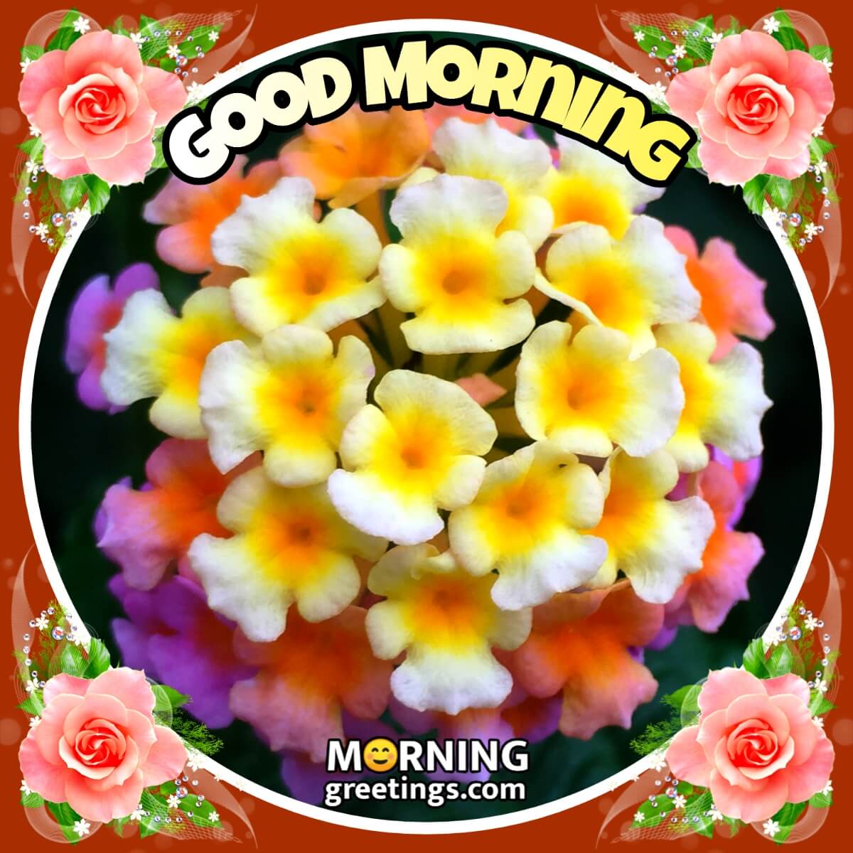 Good Morning Lantana Flower Greeting