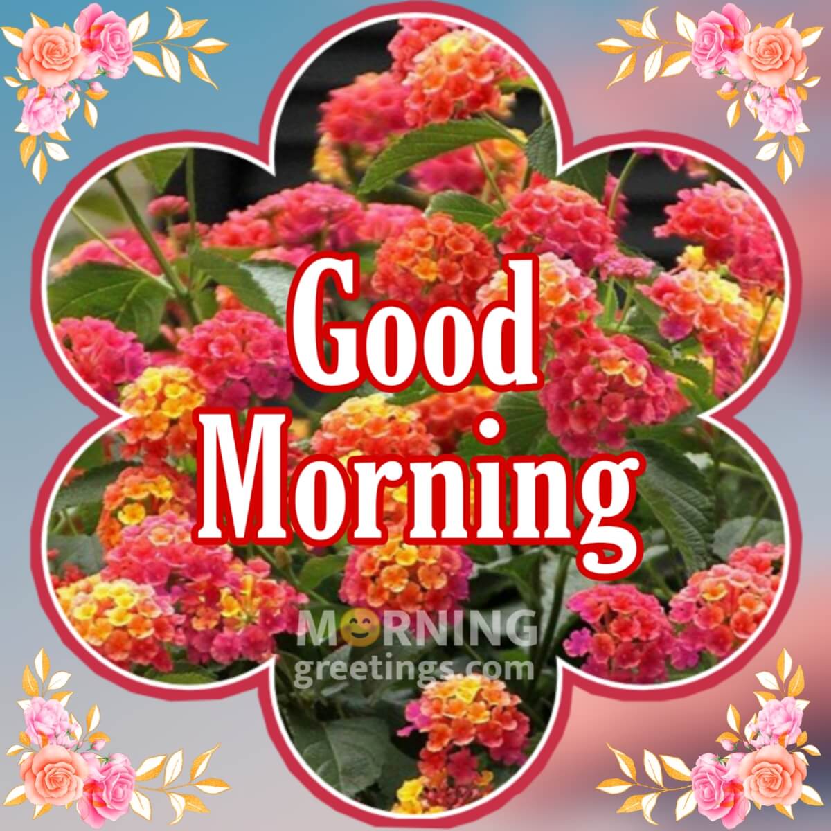 20 Beautiful Good Morning Lantana Flower Images - Morning ...