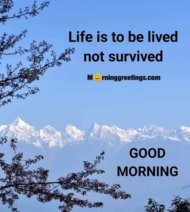 Good Morning Life Is To Be Lived