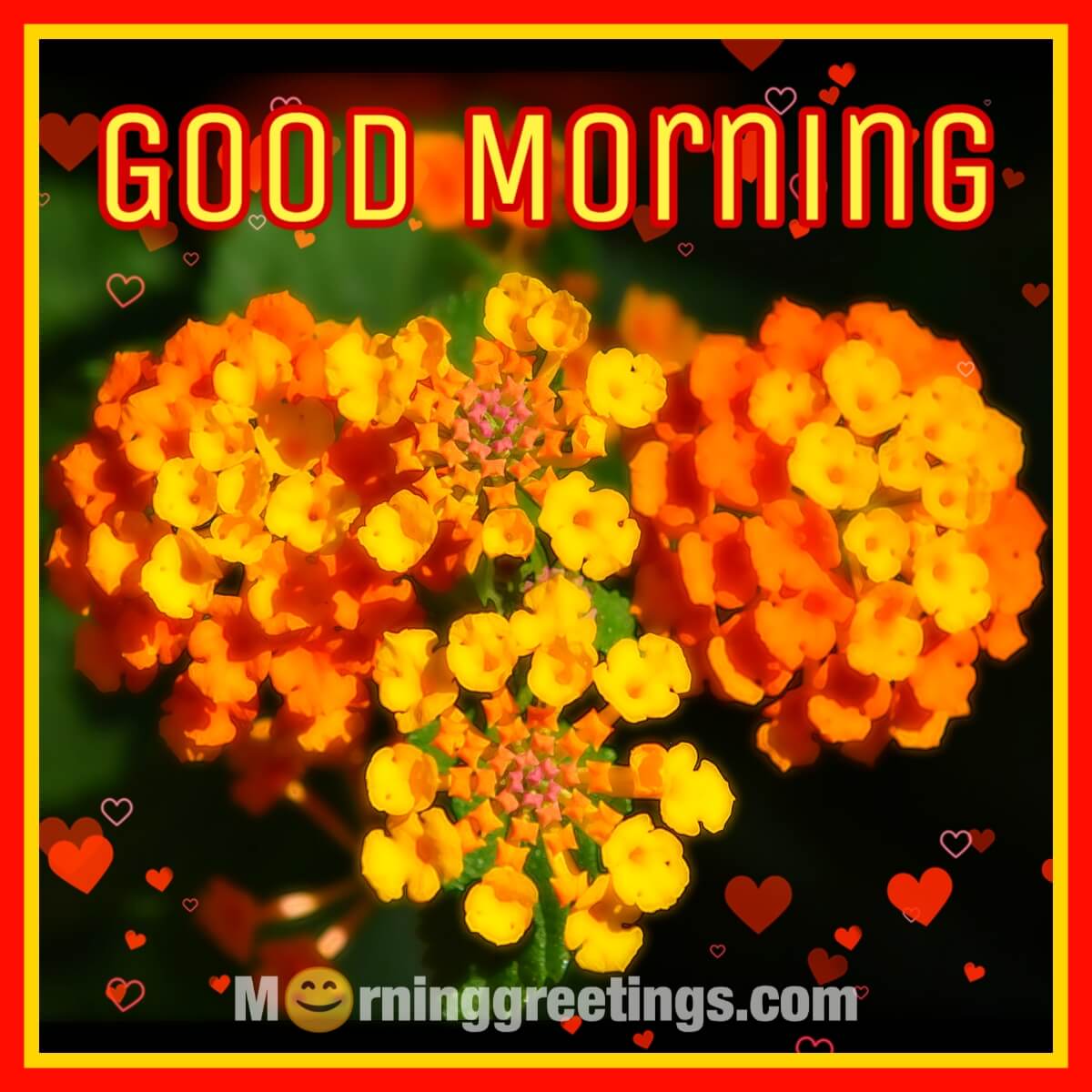 Good Morning Shining Lantana Flower