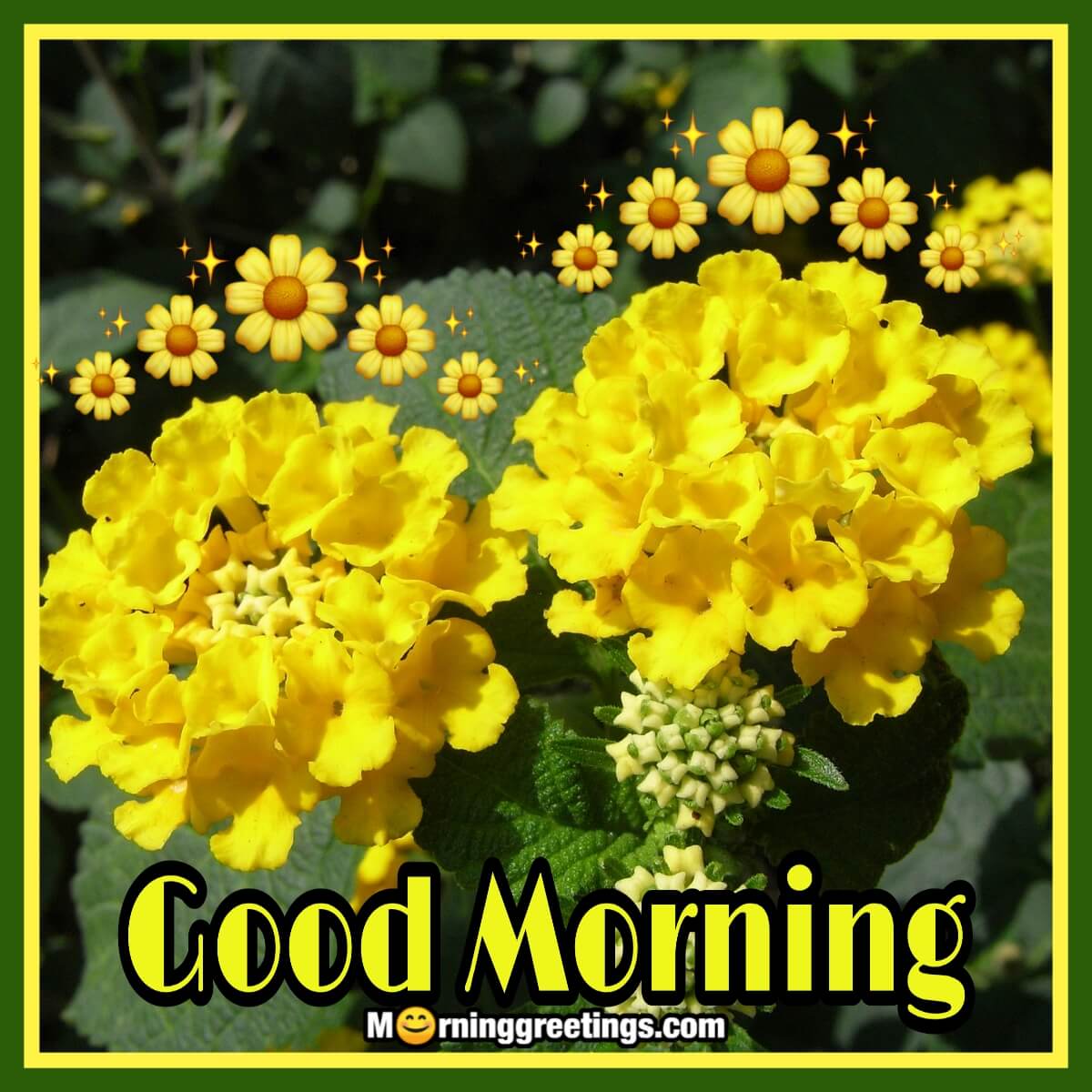 Good Morning Wishes With Lantana Flower Images