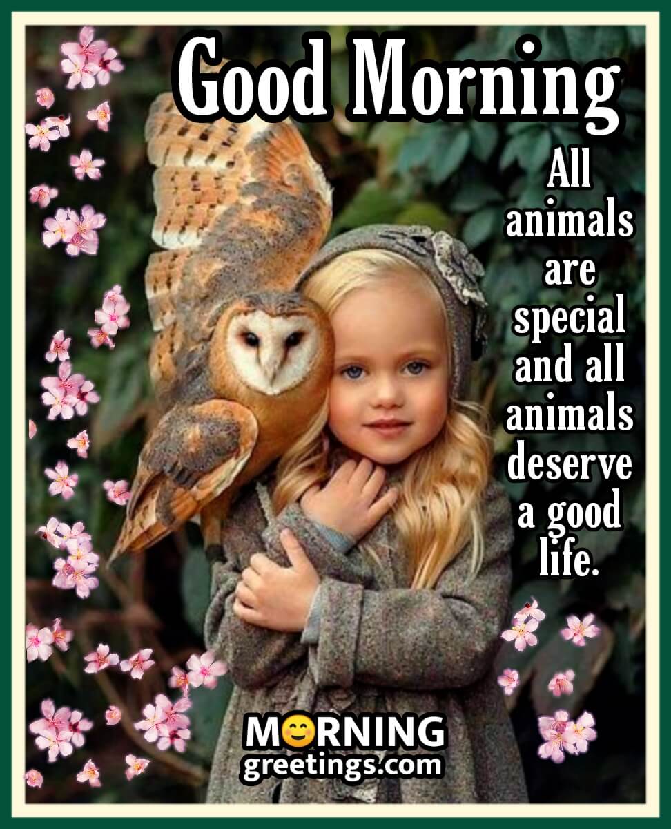Good Morning Animal Are Special