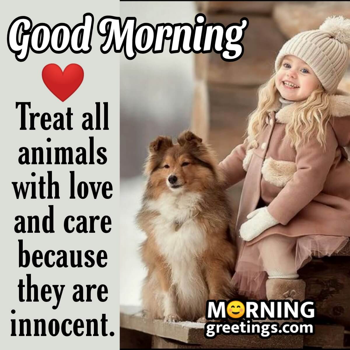 Good Morning Animals Are Innocent