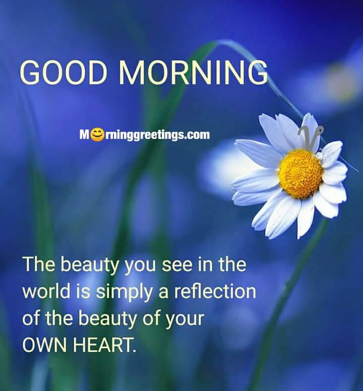 Good Morning Beauty Of Heart