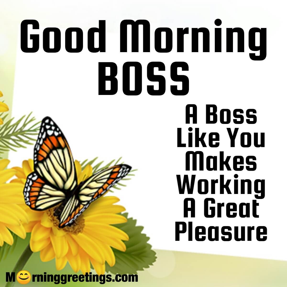 Good Morning Boss Message