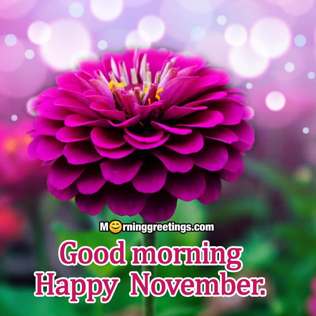 Good Morning Happy November
