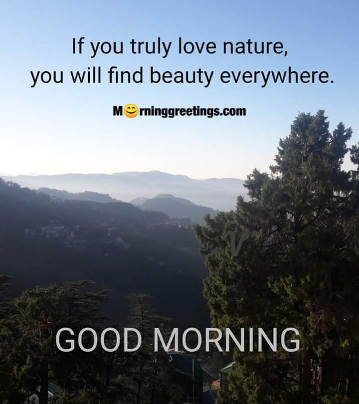 Good Morning If You Love Nature
