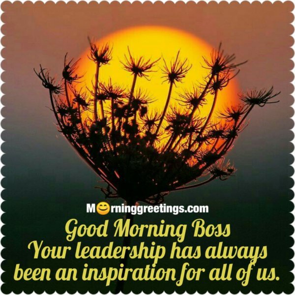 21 Great Good Morning Message For Boss - Morning Greetings – Morning