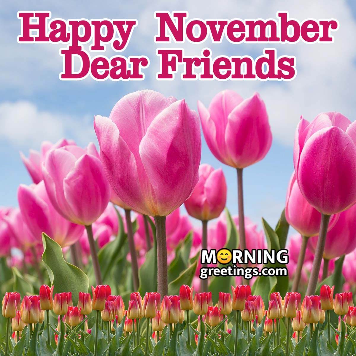 Happy November Dear Friends